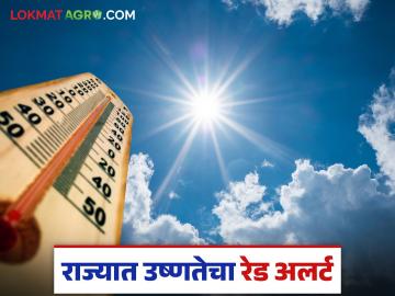 Maharashtra Weather Update : मार्चच्या पहिल्याच दिवशी उन्हाचा स्फोट होणाार का? जाणून घ्या सविस्तर - Marathi News | latest news Maharashtra Weather Update: Will there be a heatwave on the first day of March? Know in detail | Latest News at Lokmat.com