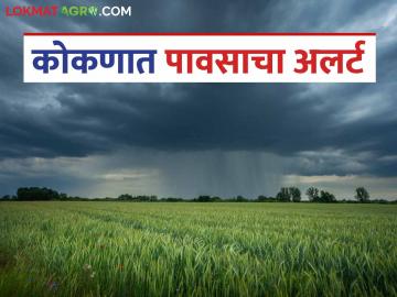 Maharshtra Weather Update : 'या' जिल्ह्यांसाठी अवकाळी पावसाचा अलर्ट; IMD चा रिपोर्ट वाचा सविस्तर - Marathi News | Maharashtra weather update: | Latest News at Lokmat.com