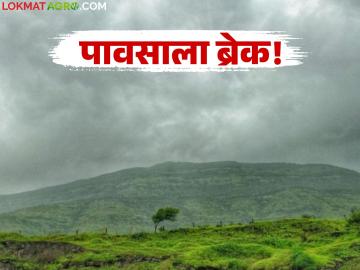 Maharashtra Weather Update : हवामानात मोठा बदल: पावसाने घेतला ब्रेक; पण उकाडा पुन्हा वाढणार! - Marathi News | latest news Maharashtra Weather Update: Big change in weather: Rains take a break; But heat will increase again! | Latest News at Lokmat.com