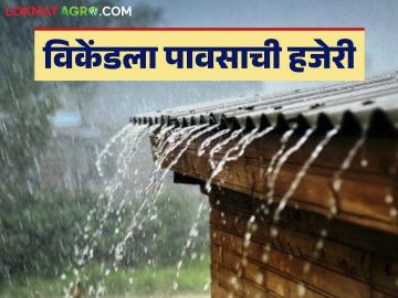 Maharashtra Weather Update: नाशिक, कोकण, उत्तर महाराष्ट्रात कसे असेल हवामान; IMD चा रिपोर्ट वाचा सविस्तर - Marathi News | Maharashtra Weather Update: What will the weather be like in Nashik, Konkan, North Maharashtra; Read IMD report in detail | Latest News at Lokmat.com
