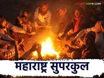 Maharashtra Weather Update: बंगालच्या खाडीत येणार चक्रीवादळ; कसे असेल आजचे हवामान वाचा IMD चा रिपोर्ट - Marathi News | Maharashtra Weather Update : Cyclone in Bay of Bengal; How will the weather be today? Read IMD's report | Latest News at Lokmat.com