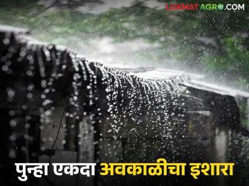 Maharashtra Weather Update: राज्यात 'या' जिल्ह्यांमध्ये अवकाळीचा अलर्ट; वाचा IMD रिपोर्ट सविस्तर - Marathi News | Maharashtra Weather Update: latest news Severe weather alert in 'these' districts in the state; Read IMD report in detail | Latest News at Lokmat.com Maharashtra Weather Update: राज्यात 'या' जिल्ह्यांमध्ये अवकाळीचा अलर्ट; वाचा IMD रिपोर्ट सविस्तर - Marathi News | Maharashtra Weather Update: latest news Severe weather alert in 'these' districts in the state; Read IMD report in detail | Latest News at Lokmat.com