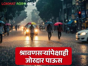 Maharashtra Weather Update : श्रावणसऱ्यांपेक्षाही जास्त मुसळधार पाऊस; ऑरेंज-यलो अलर्ट जारी वाचा सविस्तर - Marathi News | latest news Maharashtra Weather Update: More heavy rain than in Shrawansari; Orange-Yellow alert issued read in details | Latest News at Lokmat.com Maharashtra Weather Update : श्रावणसऱ्यांपेक्षाही जास्त मुसळधार पाऊस; ऑरेंज-यलो अलर्ट जारी वाचा सविस्तर - Marathi News | latest news Maharashtra Weather Update: More heavy rain than in Shrawansari; Orange-Yellow alert issued read in details | Latest News at Lokmat.com