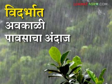 Maharashtra Weather Update : राज्यात धुके आणि ढगाळ हवामानाने तापमानात वाढ; वाचा IMD रिपोर्ट सविस्तर - Marathi News | Maharashtra Weather Update: Temperatures rise due to fog and cloudy weather in the state; Read IMD report in detail | Latest News at Lokmat.com