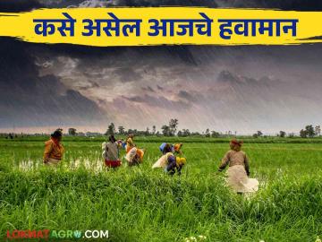 Maharashtra Weather update : पुणे, मुंबईसह विदर्भात जोरदार पावसाची शक्यता; IMD चा रिपोर्ट वाचा सविस्तर - Marathi News | Maharashtra Weather update : Heavy rain likely in Vidarbha including Pune, Mumbai; Read the IMD report in detail | Latest News at Lokmat.com