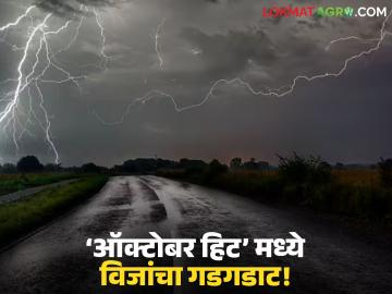 Maharashtra Weather Update : मराठवाडा-विदर्भात विजांसह पावसाचा इशारा; हवामान विभागाचा यलो अलर्ट - Marathi News | latest news Maharashtra Weather Update: Warning of rain with lightning in Marathwada-Vidarbha; Yellow alert from Meteorological Department | Latest News at Lokmat.com
