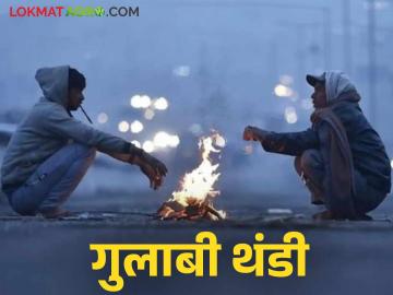Maharashtra Weather Updates : राज्यात बोचरी थंडी आणि शीत लहरीचा प्रभाव; Imd चा रिपोर्ट वाचा सविस्तर - Marathi News | Maharashtra Weather Updates : Impact of bitter cold and cold wave in the state; Read IMD report in detail | Latest News at Lokmat.com