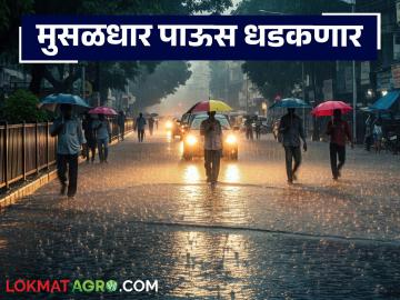 Maharashtra Rain Alert: राज्यात मुसळधार पाऊस धडकणार; 'या' जिल्ह्यात रेड अलर्ट वाचा सविस्तर - Marathi News | latest news Maharashtra Rain Alert: Heavy rains will hit the state; Read the red alert in 'this' district in detail | Latest News at Lokmat.com Maharashtra Rain Alert: राज्यात मुसळधार पाऊस धडकणार; 'या' जिल्ह्यात रेड अलर्ट वाचा सविस्तर - Marathi News | latest news Maharashtra Rain Alert: Heavy rains will hit the state; Read the red alert in 'this' district in detail | Latest News at Lokmat.com
