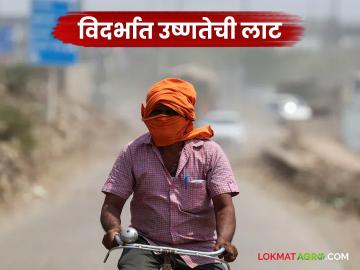 Maharashtra Weather Update : विदर्भात उष्णतेचा कहर;काय आहे आजचा हवामान अंदाज वाचा सविस्तर - Marathi News | Maharashtra Weather Update: Heatwave wreaks havoc in Vidarbha; Read today's weather forecast in detail | Latest News at Lokmat.com Maharashtra Weather Update : विदर्भात उष्णतेचा कहर;काय आहे आजचा हवामान अंदाज वाचा सविस्तर - Marathi News | Maharashtra Weather Update: Heatwave wreaks havoc in Vidarbha; Read today's weather forecast in detail | Latest News at Lokmat.com