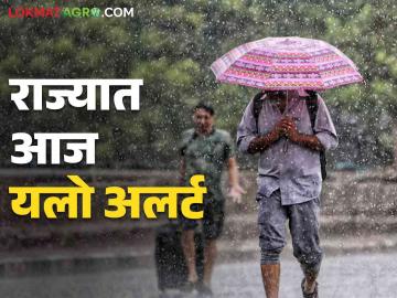 Maharashtra Weather Updates: आज 'या' जिल्ह्यांत जोरदार पावसाची शक्यता; IMD चा रिपोर्ट वाचा सविस्तर   - Marathi News | Maharashtra Weather Updates: Heavy rain likely in 'these' districts today; Read the IMD report in detail   | Latest News at Lokmat.com
