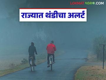 Cold Wave in Maharashtra : राज्यात थंडीचा कडाका वाढला; 'या' जिल्ह्यांना थंडीचा अलर्ट वाचा सविस्तर - Marathi News | latest news Cold Wave in Maharashtra : Cold wave intensifies in the state; Read the cold alert for 'these' districts in detail | Latest weather News at Lokmat.com