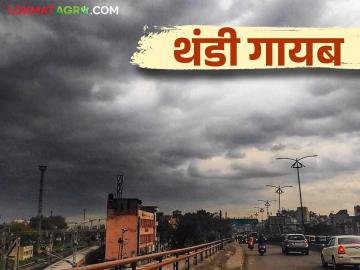 Maharashtra Weather Update : कसे असेल आजचे हवामान; वाचा IMD रिपोर्ट सविस्तर - Marathi News | Maharashtra Weather Update: What will be the weather like today; Read the IMD report in detail | Latest News at Lokmat.com