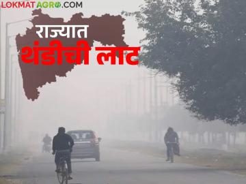Maharashtra Weather Update : उत्तरेतील थंड वाऱ्यामुळे राज्यात काही जिल्हे गारठले; IMD चा रिपोर्ट वाचा सविस्तर - Marathi News | Maharashtra Weather Update : Cold winds from the north caused frost in some districts of the state; Read IMD report in detail | Latest News at Lokmat.com