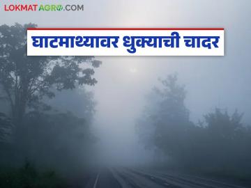 Maharashtra Weather Update : थंडीची लाट सक्रिय! उत्तर महाराष्ट्र ते विदर्भ गारठणार वाचा सविस्तर - Marathi News | latest news Maharashtra Weather Update: Cold wave active! North Maharashtra to Vidarbha will experience cold weather Read in detail | Latest News at Lokmat.com