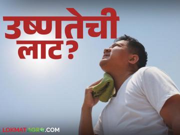 Maharashtra Weather Update : फेब्रुवारीतच मे महिन्याची झळ? महाराष्ट्रात उष्णतेची लाट वाचा सविस्तर - Marathi News | latest news Maharashtra Weather Update: May heat wave in February itself? Read the heat wave in Maharashtra in detail | Latest News at Lokmat.com Maharashtra Weather Update : फेब्रुवारीतच मे महिन्याची झळ? महाराष्ट्रात उष्णतेची लाट वाचा सविस्तर - Marathi News | latest news Maharashtra Weather Update: May heat wave in February itself? Read the heat wave in Maharashtra in detail | Latest News at Lokmat.com