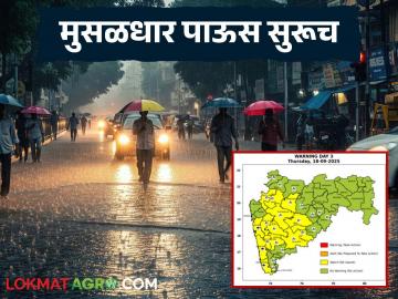 Maharashtra Weather Update : महाराष्ट्रात पावसाचा जोर कायम; कुठे कोणता अलर्ट वाचा सविस्तर - Marathi News | latest news Maharashtra Weather Update: Heavy rain continues in Maharashtra; Read the alert in detail | Latest News at Lokmat.com
