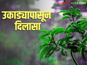 Maharashtra Weather Update: उकाड्यापासून काहीसा मिळणार दिलासा; काय आहे आजचा हवामान अंदाज - Marathi News | Maharashtra Weather Update: There will be some relief from the heat; What is today's weather forecast? | Latest News at Lokmat.com Maharashtra Weather Update: उकाड्यापासून काहीसा मिळणार दिलासा; काय आहे आजचा हवामान अंदाज - Marathi News | Maharashtra Weather Update: There will be some relief from the heat; What is today's weather forecast? | Latest News at Lokmat.com