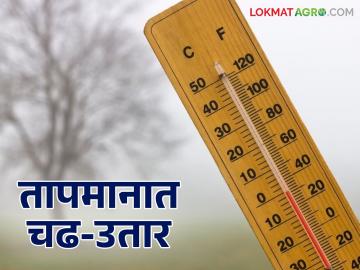 Maharashtra Weather Update : येत्या 3 दिवसात राज्यातील तापमानात काय होतील बदल; IMD चा रिपोर्ट वाचा सविस्तर - Marathi News | Maharashtra Weather Update: What will be the changes in the temperature in the state in the next 3 days; Read the IMD report in detail | Latest News at Lokmat.com