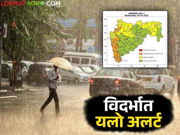 Maharashtra Weather Alert : राज्यात पावसाचे मुसळधार आगमन; IMD ने जारी केला अलर्ट वाचा सविस्तर - Marathi News | latest news Maharashtra Weather Alert: Heavy rains expected in the state; IMD issues alert, read in detail | Latest News at Lokmat.com Maharashtra Weather Alert : राज्यात पावसाचे मुसळधार आगमन; IMD ने जारी केला अलर्ट वाचा सविस्तर - Marathi News | latest news Maharashtra Weather Alert: Heavy rains expected in the state; IMD issues alert, read in detail | Latest News at Lokmat.com