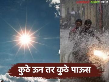 Maharashtra Weather Update : राज्यात पुन्हा पावसाचा इशारा; 'या' ६ जिल्ह्यांना यलो अलर्ट - Marathi News | latest news Maharashtra Weather Update: Rain warning again in the state! Yellow alert for these 6 districts | Latest News at Lokmat.com