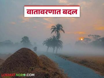 Maharashtra Weather Update : वातावरणात बदल; 'या' जिल्ह्यांत गारठा, तर काही भागांत ढगाळ वातावरण वाचा सविस्तर - Marathi News | latest news Maharashtra Weather Update: Change in the weather; Cold in 'these' districts, cloudy weather in some areas Read in detail | Latest News at Lokmat.com Maharashtra Weather Update : वातावरणात बदल; 'या' जिल्ह्यांत गारठा, तर काही भागांत ढगाळ वातावरण वाचा सविस्तर - Marathi News | latest news Maharashtra Weather Update: Change in the weather; Cold in 'these' districts, cloudy weather in some areas Read in detail | Latest News at Lokmat.com