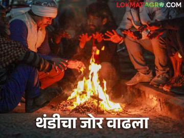 Maharashtra Weather Update : परभणीकर अनुभवताय हुडहुडी ; IMD रिपोर्ट वाचा सविस्तर - Marathi News | Maharashtra Weather Update : Parbhanikar is experiencing a thunderstorm; Read the IMD report in detail | Latest News at Lokmat.com