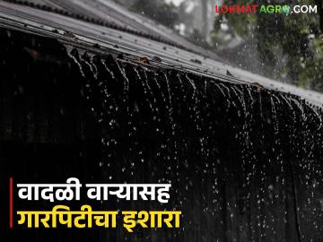 Maharashtra Weather Update : राज्यात पावसाबरोबरच गारपिटीचा इशारा; काय आहे IMD रिपोर्ट वाचा सविस्तर - Marathi News | Maharashtra Weather Update : Hailstorm warning along with rain in the state; Read the IMD report in detail | Latest News at Lokmat.com