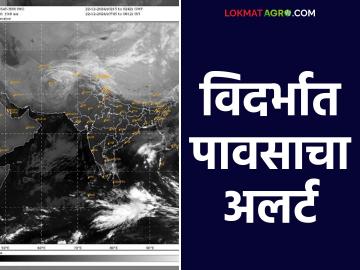 Maharashtra Weather Update : हवामानात बदल; विदर्भात पावसाची शक्यता; IMD चा रिपोर्ट वाचा सविस्तर - Marathi News | Maharashtra Weather Update : Change in weather; Chance of rain in Vidarbha; Read IMD report in detail | Latest News at Lokmat.com