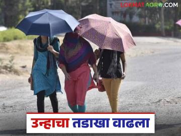 Maharashtra Weather Update: सातारा, नंदुरबार जिल्ह्यात सर्वाधिक तापमानाची नोंद; कसे असेल हवामान वाचा सविस्तर - Marathi News | Maharashtra Weather Update: latest news Highest temperature recorded in Satara, Nandurbar districts; Read in detail what the weather will be like | Latest News at Lokmat.com Maharashtra Weather Update: सातारा, नंदुरबार जिल्ह्यात सर्वाधिक तापमानाची नोंद; कसे असेल हवामान वाचा सविस्तर - Marathi News | Maharashtra Weather Update: latest news Highest temperature recorded in Satara, Nandurbar districts; Read in detail what the weather will be like | Latest News at Lokmat.com