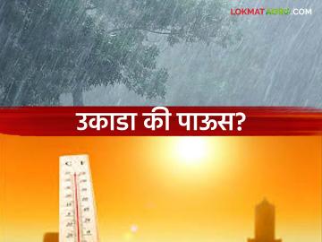 Maharashtra Weather Update: उकाडा की पाऊस? महाराष्ट्रात हवामानाचा गेमच बदलला वाचा सविस्तर - Marathi News | latest news Maharashtra Weather Update: Heat or rain? The weather game has changed in Maharashtra. Read in detail | Latest News at Lokmat.com