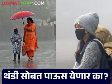 Maharashtra Weather Update: थंडीसोबत अवकाळी पावसाचे संकट; काय आहे आजचा IMD रिपोर्ट वाचा सविस्तर - Marathi News | Maharashtra Weather Update: Cold coupled with unseasonal rains; Read today's IMD report in detail | Latest News at Lokmat.com