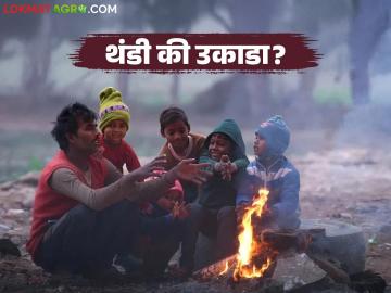 Maharashtra Weather Update : महाराष्ट्रावर हवामानाचा मोठा इशारा; कुठे कडाक्याची थंडी, कुठे उकाडा वाचा सविस्तर - Marathi News | latest news Maharashtra Weather Update: Big weather warning for Maharashtra; Some places will be bitterly cold, others will be scorching hot. Read in detail | Latest News at Lokmat.com Maharashtra Weather Update : महाराष्ट्रावर हवामानाचा मोठा इशारा; कुठे कडाक्याची थंडी, कुठे उकाडा वाचा सविस्तर - Marathi News | latest news Maharashtra Weather Update: Big weather warning for Maharashtra; Some places will be bitterly cold, others will be scorching hot. Read in detail | Latest News at Lokmat.com