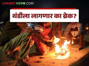 Maharashtra Weather Update : अरबी समुद्रात वाढली आर्द्रता; कसे असेल आजचे हवामान वाचा IMD रिपोर्ट सविस्तर - Marathi News | Maharashtra Weather Update: Humidity increased in the Arabian Sea; Read the detailed IMD report on what today's weather will be like | Latest News at Lokmat.com