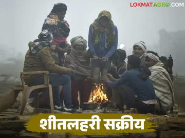 Maharashtra Weather Update : राज्यात तापमान घसरणीचा अलर्ट; पुढचे ४८ तास महत्त्वाचे वाचा सविस्तर