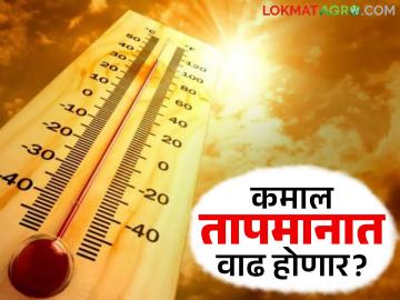 Maharashtra Weather Update : राज्यात कमाल तापमानात होणार वाढ; काय आजचा IMD रिपोर्ट वाचा सविस्तर - Marathi News | Maharashtra Weather Update: Maximum temperature will increase in the state; Read today's IMD report in detail | Latest News at Lokmat.com