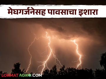 Maharashtra Weather Warning : राज्यात उद्या गारपीटीचा इशारा; कसे असेल आजचे हवामान IMD चा रिपोर्ट वाचा सविस्तर - Marathi News | Maharashtra Weather Warning: Hail warning in the state tomorrow; Read the IMD report in detail about what today's weather will be like | Latest News at Lokmat.com