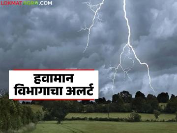 Maharashtra Weather Update : पुढील २४ तास धोक्याचे; 'या' ५ जिल्ह्यांना पावसाचा थेट इशारा वाचा सविस्तर - Marathi News | latest news Maharashtra Weather Update: Dangerous for the next 24 hours; Direct rain warning for 'these' 5 districts, read in detail | Latest News at Lokmat.com