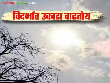 Maharashtra Weather Update: IMD ने 'या' जिल्ह्यांमध्ये दिला अवकाळी पावसाचा इशारा वाचा सविस्तर - Marathi News | Maharashtra Weather Update: IMD warns of unseasonal rains in 'these' districts Read in detail | Latest News at Lokmat.com