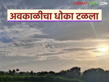 Maharashtra Weather Update : हवामानात मोठा बदल; अवकाळीचा धोका टळला, पुढील २४ तास महत्त्वाचे वाचा सविस्तर - Marathi News | latest news Maharashtra Weather Update: Big change in weather; Danger of severe weather averted, next 24 hours important Read in detail | Latest News at Lokmat.com