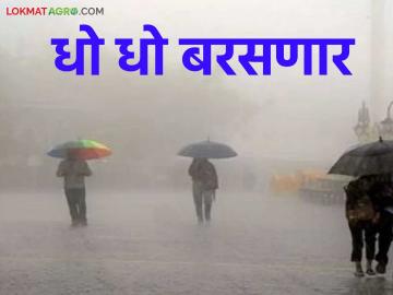 Maharashtra Weather Update: पावसाच्या तडाख्यात महाराष्ट्र! कुठे बरसणार जोरदार सरी? वाचा सविस्तर - Marathi News | latest news Heavy rains in Maharashtra : Maharashtra in the grip of rain! Where will it rain heavily? Read in detail | Latest News at Lokmat.com