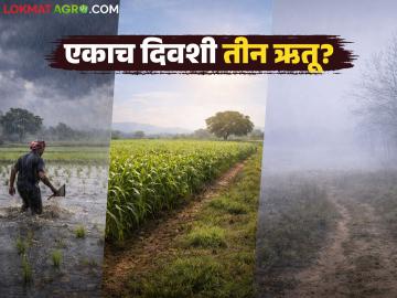 Maharashtra Weather Update : एकाच दिवशी तीन ऋतू; गारपीट–धुकं–थंडीने महाराष्ट्र गारठला वाचा सविस्तर - Marathi News | latest news Maharashtra Weather Update: Three seasons in one day; Maharashtra reels under hail, fog and cold Read in detail | Latest News at Lokmat.com Maharashtra Weather Update : एकाच दिवशी तीन ऋतू; गारपीट–धुकं–थंडीने महाराष्ट्र गारठला वाचा सविस्तर - Marathi News | latest news Maharashtra Weather Update: Three seasons in one day; Maharashtra reels under hail, fog and cold Read in detail | Latest News at Lokmat.com