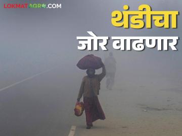 Maharashtra Weather Update : राज्यात गारठा वाढला; काय आहे आजचा IMD रिपोर्ट - Marathi News | Maharashtra Weather Update: Cold wave increases in the state; What is today's IMD report? | Latest News at Lokmat.com