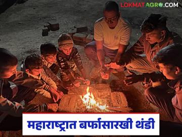 Cold Wave in Maharashtra : उत्तरेकडून वाहिले गार वारे; राज्यभर कडाक्याची थंडी वाचा सविस्तर - Marathi News | latest news Cold wave in Maharashtra: Cold winds blew from the north; Severe cold across the state Read in detail | Latest News at Lokmat.com