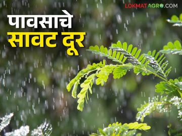 Maharashtra Weather Update : वर्षातील शेवटच्या दिवशी कसे असेल हवामान IMD रिपोर्ट वाचा सविस्तर - Marathi News | Maharashtra Weather Update: How will the weather be on the last day of the year2024? Read the IMD report in detail. | Latest News at Lokmat.com