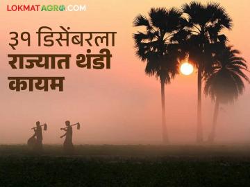 Maharashtra Winter Weather: ३१ डिसेंबरला राज्यात थंडी कायम, किमान तापमानात घट वाचा सविस्तर - Marathi News | latest news Maharashtra Weather Update: Cold continues in the state on December 31, minimum temperature drops Read in detail | Latest weather News at Lokmat.com