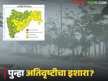Maharashtra Weather Update : महाराष्ट्रात पुन्हा मुसळधार पाऊस; कोकण, मराठवाडा आणि विदर्भात सतर्कतेचा इशारा - Marathi News | latest news Maharashtra Weather Update: Heavy rains again in Maharashtra; Alert issued in Konkan, Marathwada and Vidarbha | Latest News at Lokmat.com
