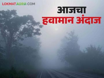 Maharashtra Weather Update : राज्यात कुठे थंडी तर कुठे उष्णता ; वाचा IMD चा रिपोर्ट सविस्तर - Marathi News | Maharashtra Weather Update : Where is cold and where is heat in the state; Read the IMD report in detail | Latest News at Lokmat.com