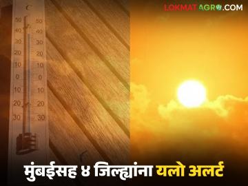 Maharashtra Heatwave Alert: मार्चमध्येच उन्हाळ्याचा अटॅक; मुंबईसह ४ जिल्ह्यांना IMD चा यलो अलर्ट - Marathi News | latest news Maharashtra Weather Update: Summer attack in March itself; IMD's yellow alert for 4 districts including Mumbai | Latest News at Lokmat.com