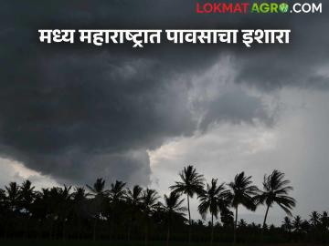Maharashtra Weather Update: राज्यावर अवकाळीचे संकट; वाचा आजचा IMD रिपोर्ट - Marathi News | Maharashtra Weather Update: Unseasonal weather crisis looms over the state; Read today's IMD report | Latest News at Lokmat.com Maharashtra Weather Update: राज्यावर अवकाळीचे संकट; वाचा आजचा IMD रिपोर्ट - Marathi News | Maharashtra Weather Update: Unseasonal weather crisis looms over the state; Read today's IMD report | Latest News at Lokmat.com