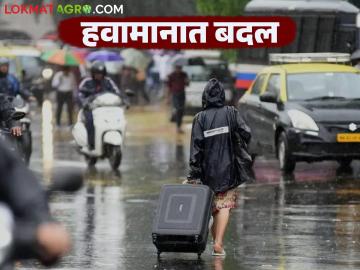 Maharashtra weather Update :  राज्यातील १० जिल्ह्यांना पावसाचा यलो अलर्ट; IMD चा रिपोर्ट वाचा सविस्तर  - Marathi News | Maharashtra weather update : Yellow alert for rain in 10 districts of the state; Read the IMD report in detail  | Latest News at Lokmat.com